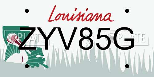 ZYV85G Louisiana License Plate