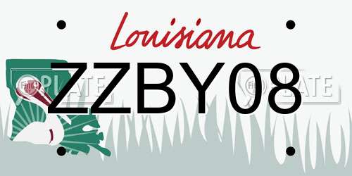ZZBY08 Louisiana License Plate