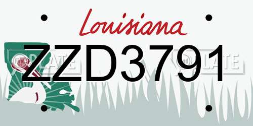 ZZD3791 Louisiana License Plate
