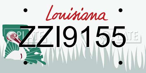 ZZI9155 Louisiana License Plate