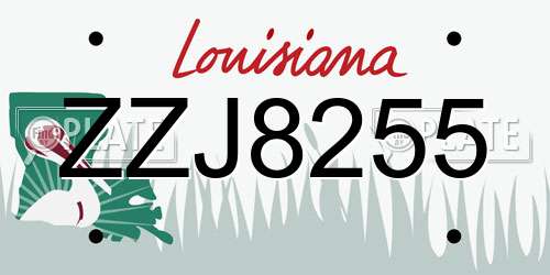 ZZJ8255 Louisiana License Plate