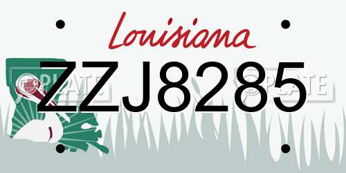 ZZJ8285 Louisiana License Plate