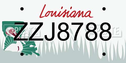 ZZJ8788 Louisiana License Plate