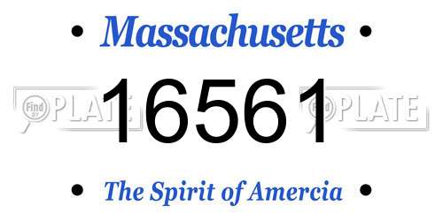 16561 Massachusetts License Plate