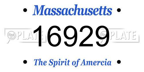 16929 Massachusetts License Plate
