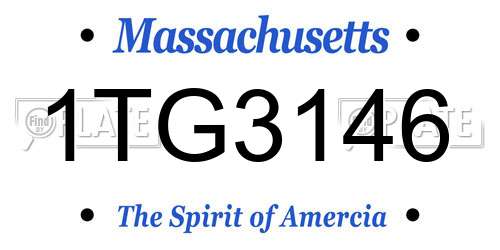 1TG3146 Massachusetts License Plate