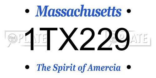 1TX229 Massachusetts License Plate