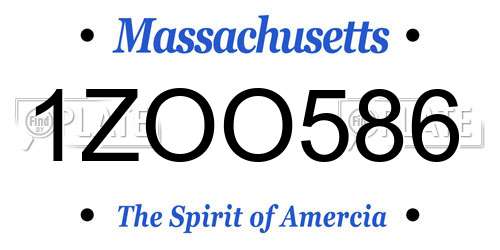 1ZOO586 Massachusetts License Plate