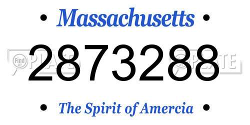 2873288 Massachusetts License Plate