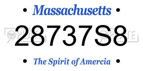 28737S8 Massachusetts License Plate