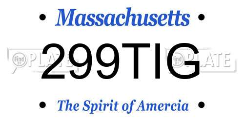 299TIG Massachusetts License Plate