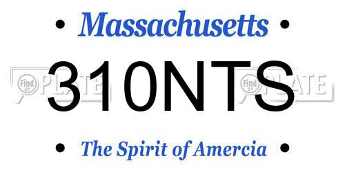 310NTS Massachusetts License Plate