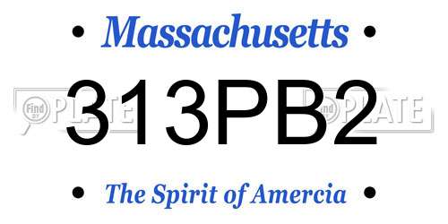 313PB2 Massachusetts License Plate