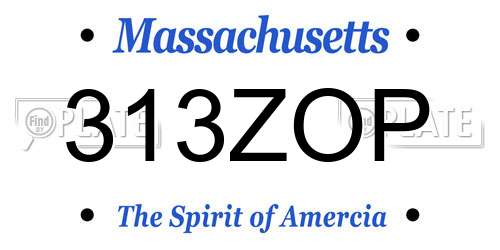 313ZOP Massachusetts License Plate