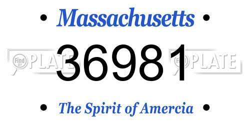 36981 Massachusetts License Plate