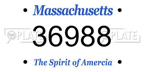 36988 Massachusetts License Plate