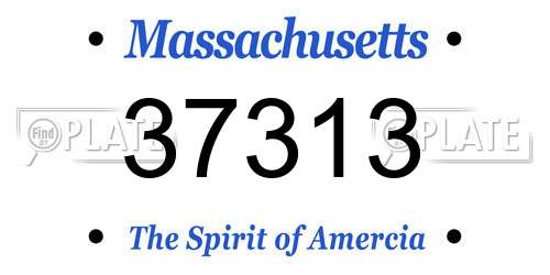37313 Massachusetts License Plate