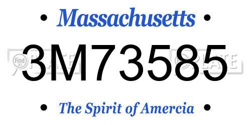 3M73585 Massachusetts License Plate