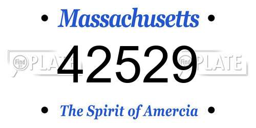 42529 Massachusetts License Plate