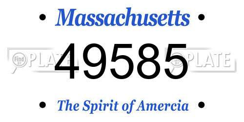 49585 Massachusetts License Plate