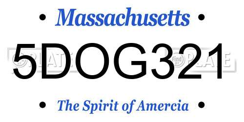 5DOG321 Massachusetts License Plate