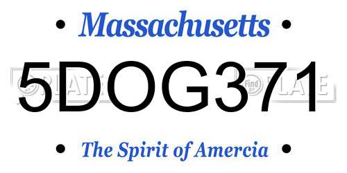 5DOG371 Massachusetts License Plate
