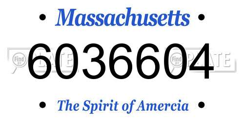 6036604 Massachusetts License Plate