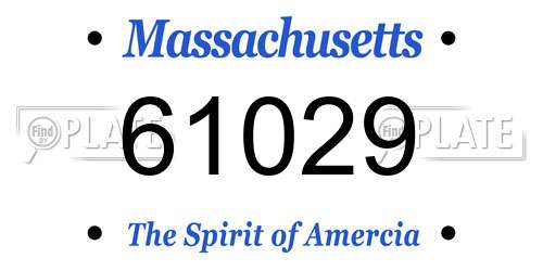 61029 Massachusetts License Plate