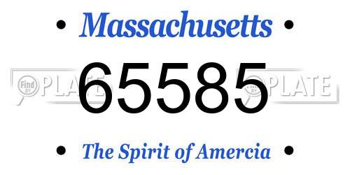 65585 Massachusetts License Plate