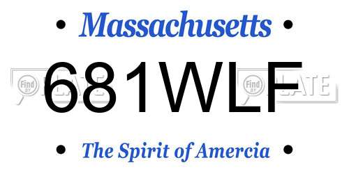 681WLF Massachusetts License Plate