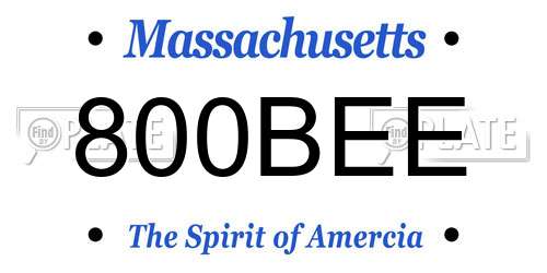 800BEE Massachusetts License Plate