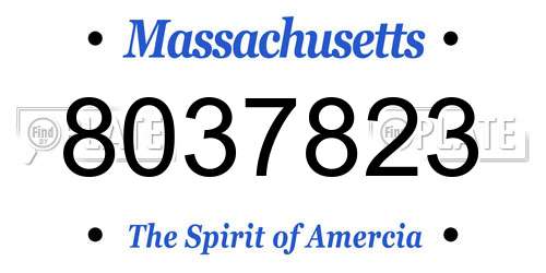 8037823 Massachusetts License Plate
