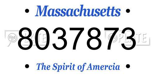 8037873 Massachusetts License Plate