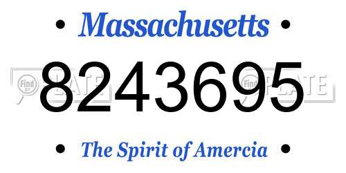 8243695 Massachusetts License Plate