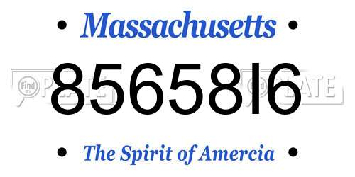 85658I6 Massachusetts License Plate