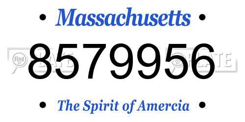 8579956 Massachusetts License Plate