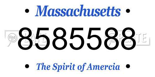 8585588 Massachusetts License Plate
