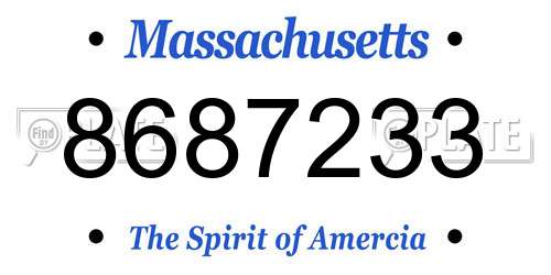 8687233 Massachusetts License Plate