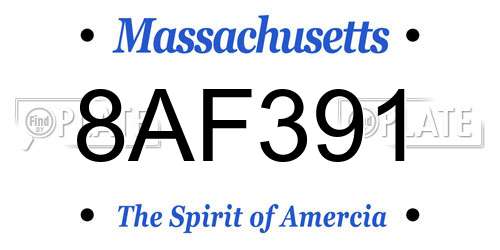 8AF391 Massachusetts License Plate
