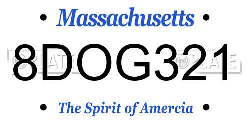 8DOG321 Massachusetts License Plate