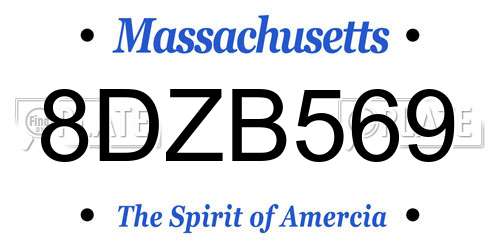 8DZB569 Massachusetts License Plate