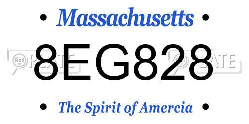 8EG828 Massachusetts License Plate