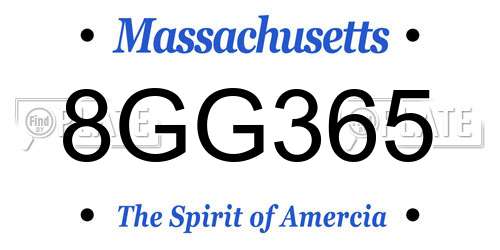 8GG365 Massachusetts License Plate