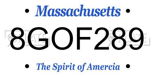 8GOF289 Massachusetts License Plate