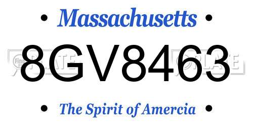 8GV8463 Massachusetts License Plate
