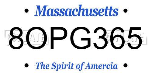 8OPG365 Massachusetts License Plate
