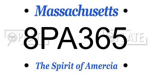 8PA365 Massachusetts License Plate
