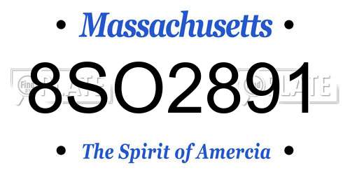 8SO2891 Massachusetts License Plate