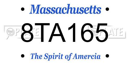 8TA165 Massachusetts License Plate