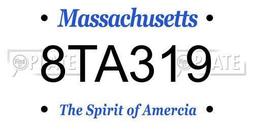 8TA319 Massachusetts License Plate